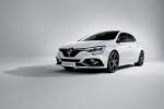 Renault Megane R.S. Trophy 2020 года (WW)